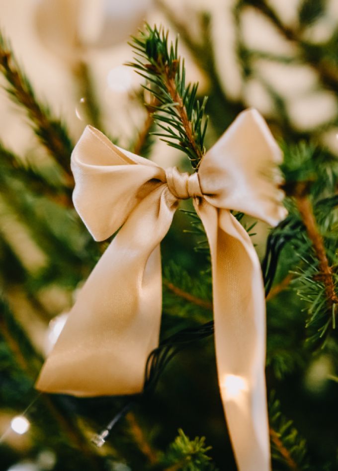 Новогодние приключения Иго-го! Новый год с конем