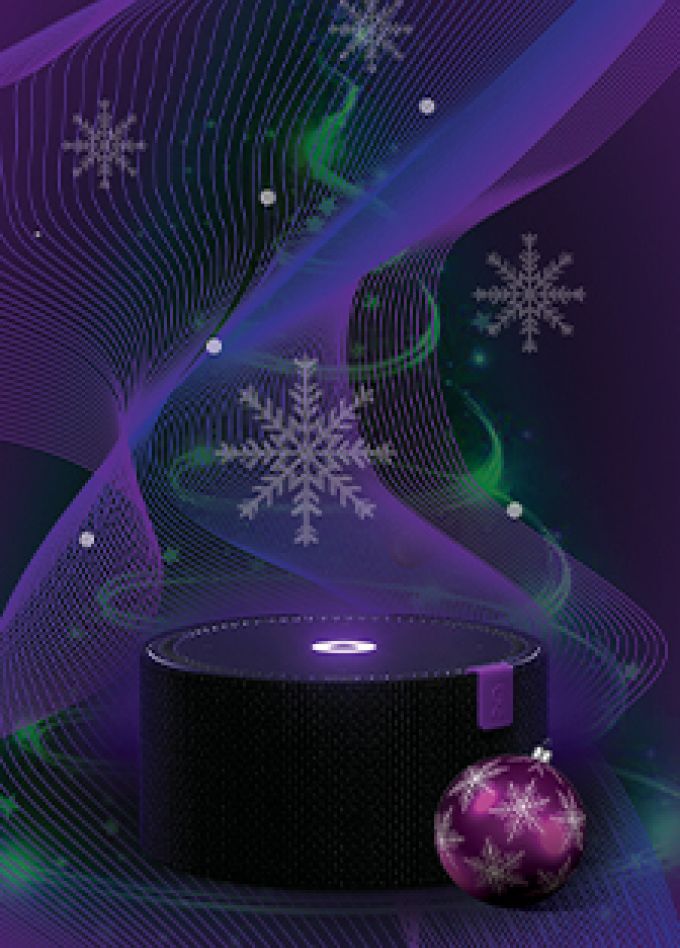 Премьерская ёлка