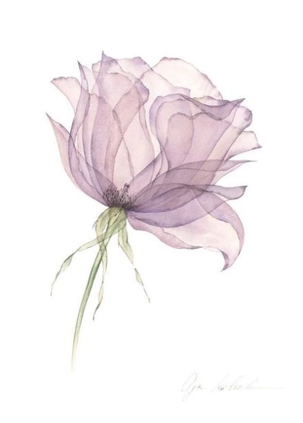 Слоистые лепестки. Техника лессировки в акварельной живописи