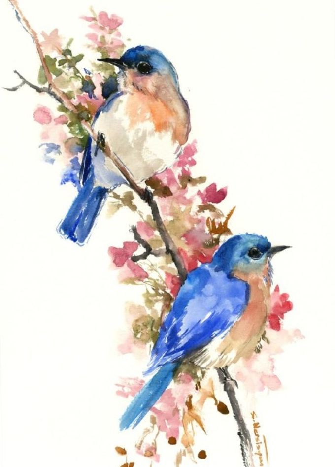 Птицы акварелью. Мастер-класс