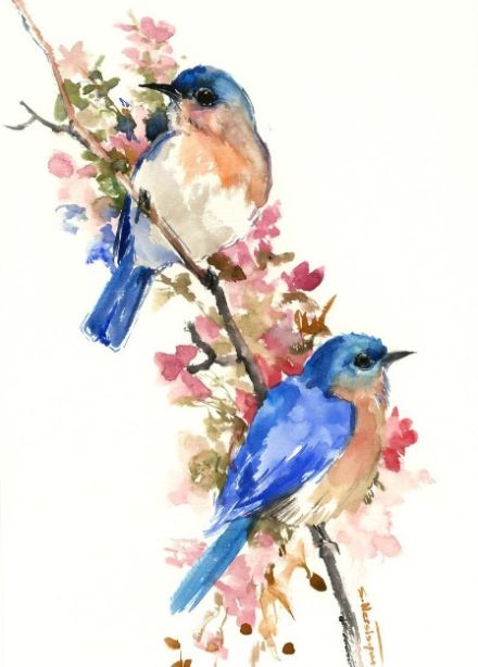 Птицы акварелью. Мастер-класс