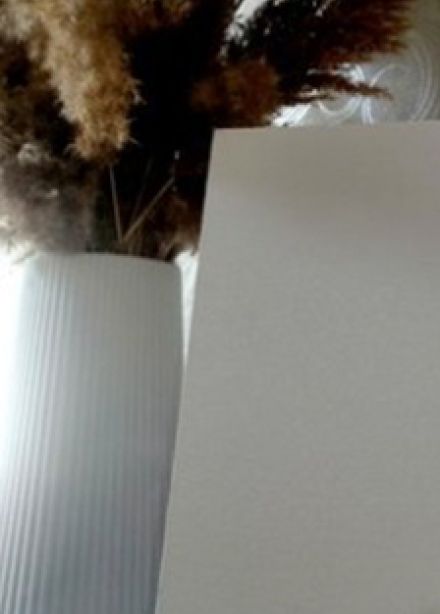 Тысяча идей. Цикл мастер-классов