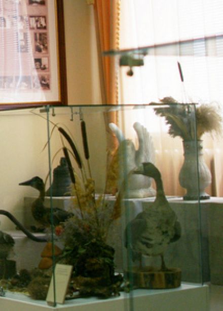 Постоянная экспозиция Краеведческого музея