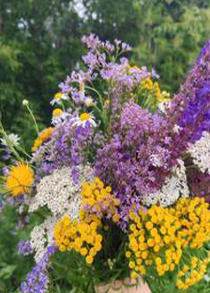 Степная симфония. Познавательно-краеведческая программа