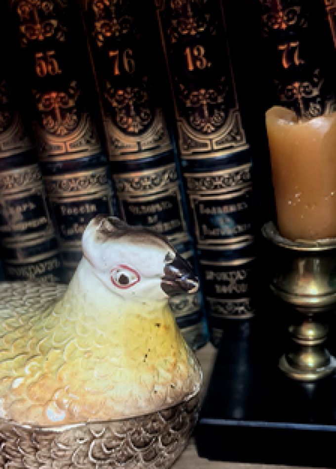 Тайна пропавшей голубки. Квест