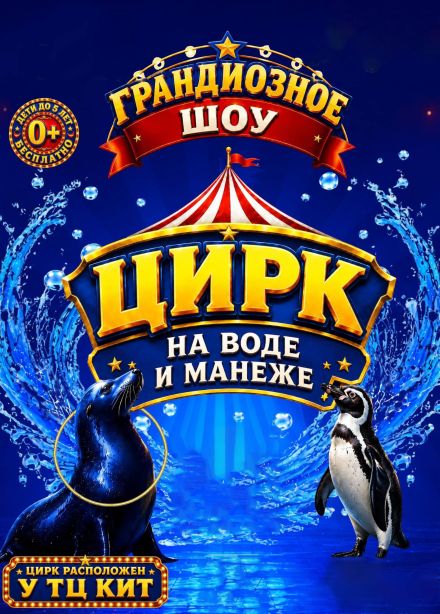 Цирк на манеже и воде